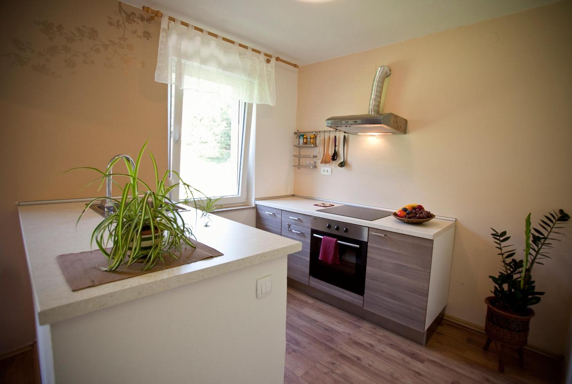 Apartments Soca Kobarid Esterno foto